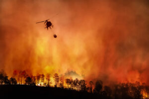 Queimadas: Amazônia e Pantanal disparam emissões de carbono, indica União Europeia