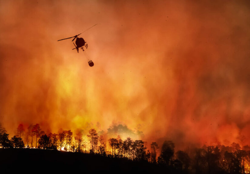 Queimadas: Amazônia e Pantanal disparam emissões de carbono, indica União Europeia